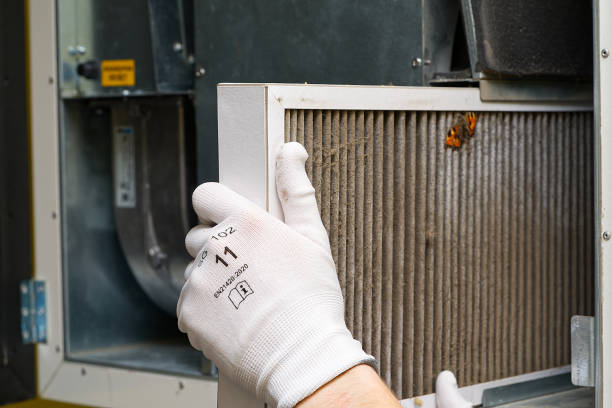 Best Affordable Air Duct Cleaning  in Thousand Oaks, CA